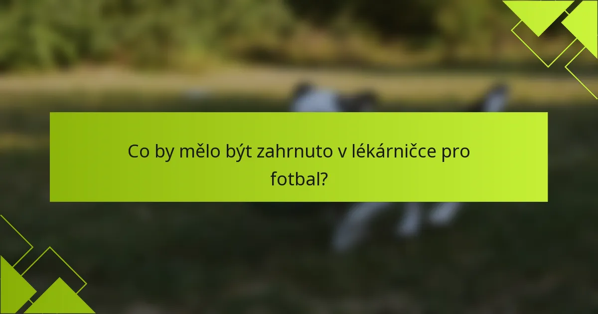 Co by mělo být zahrnuto v lékárničce pro fotbal?